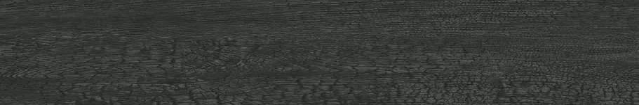 62012RM 20x120